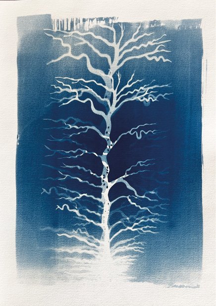 A white tree with many branchesAI-generated content may be incorrect.